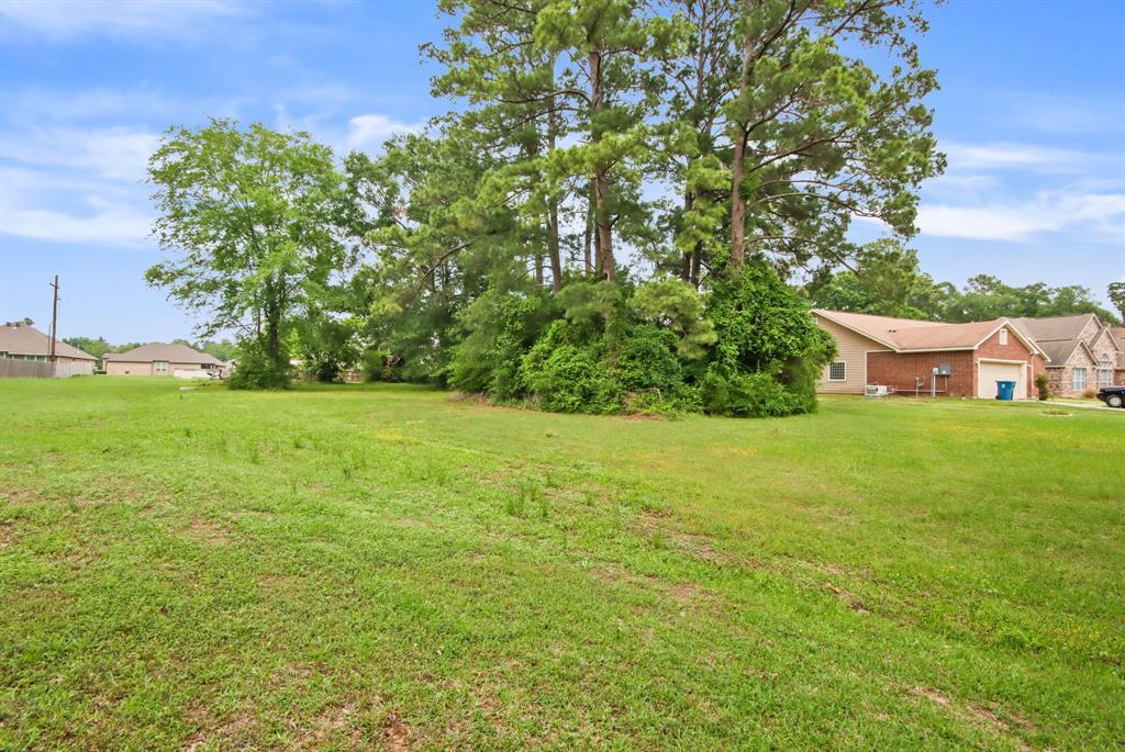 12995 Point Aquarius Boulevard, Willis, Texas image 13
