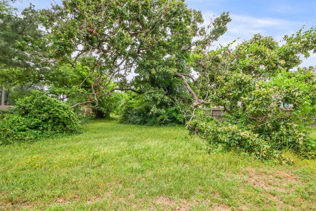 12995 Point Aquarius Boulevard, Willis, Texas image 25