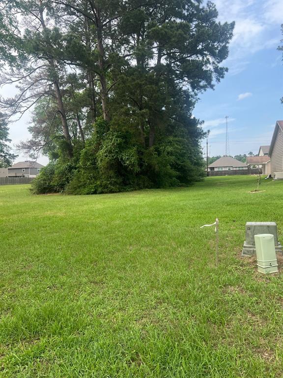 12995 Point Aquarius Boulevard, Willis, Texas image 4