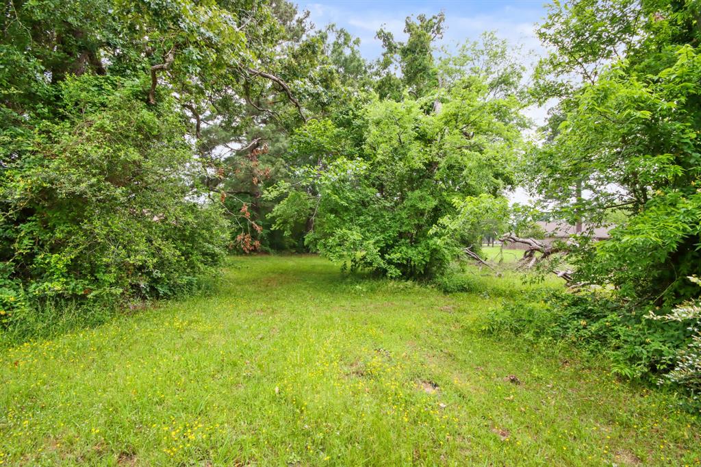 12995 Point Aquarius Boulevard, Willis, Texas image 21