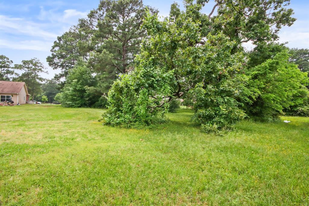 12995 Point Aquarius Boulevard, Willis, Texas image 23