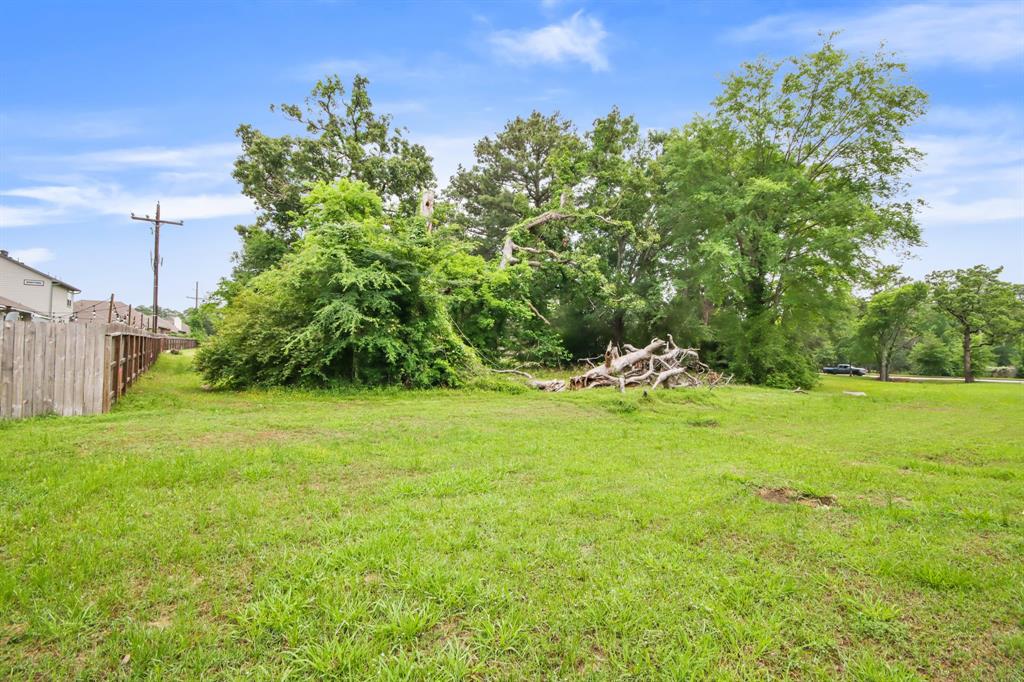 12995 Point Aquarius Boulevard, Willis, Texas image 16