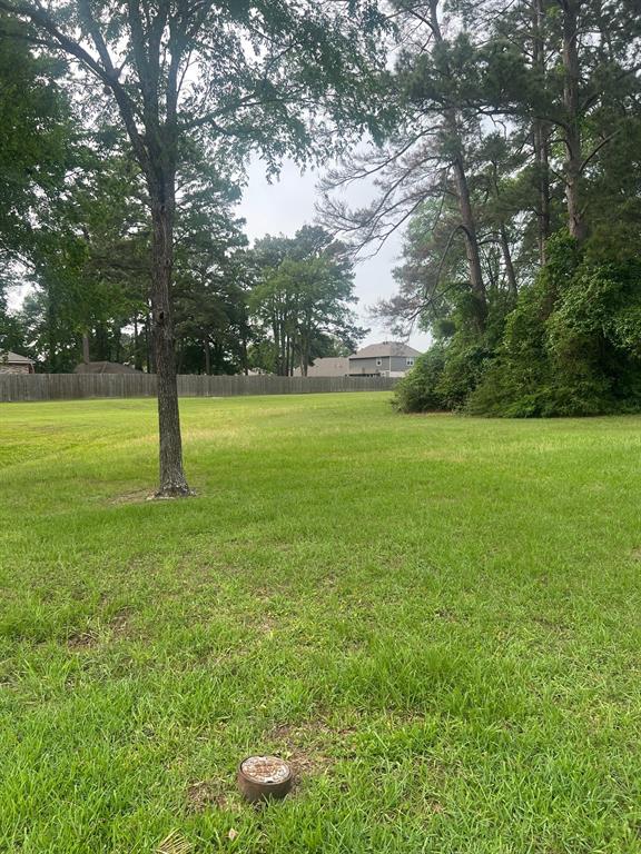 12995 Point Aquarius Boulevard, Willis, Texas image 1