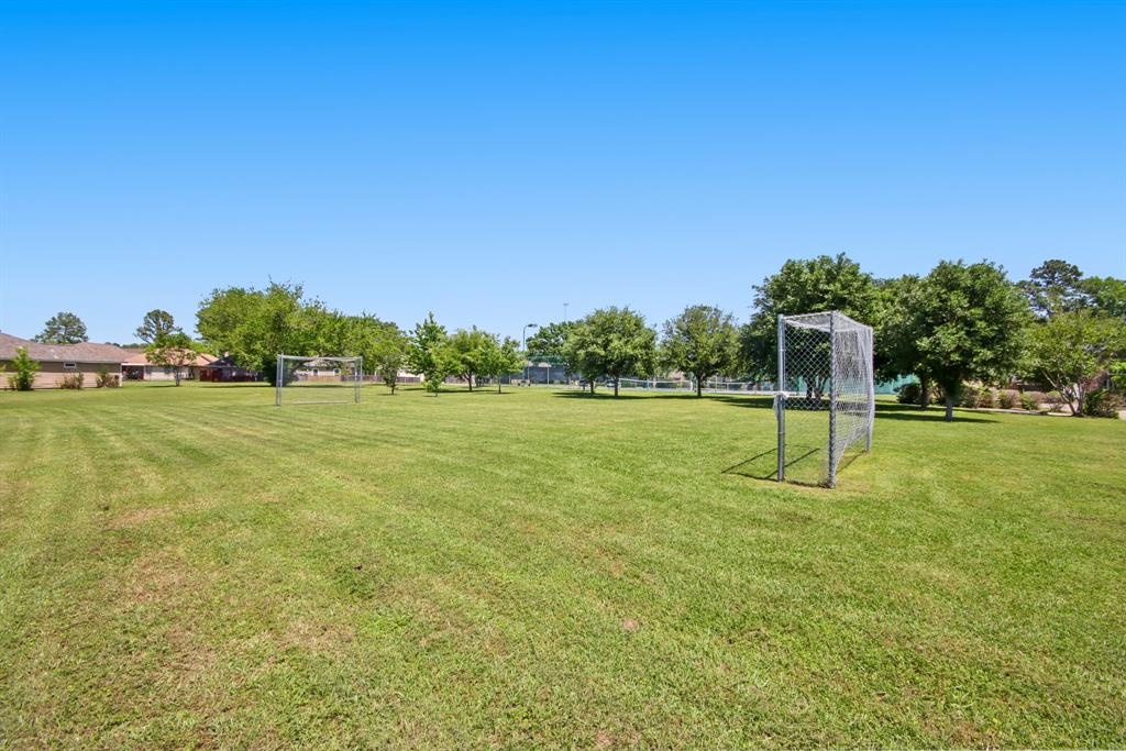12995 Point Aquarius Boulevard, Willis, Texas image 28