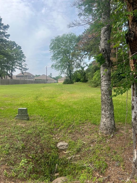 12995 Point Aquarius Boulevard, Willis, Texas image 2