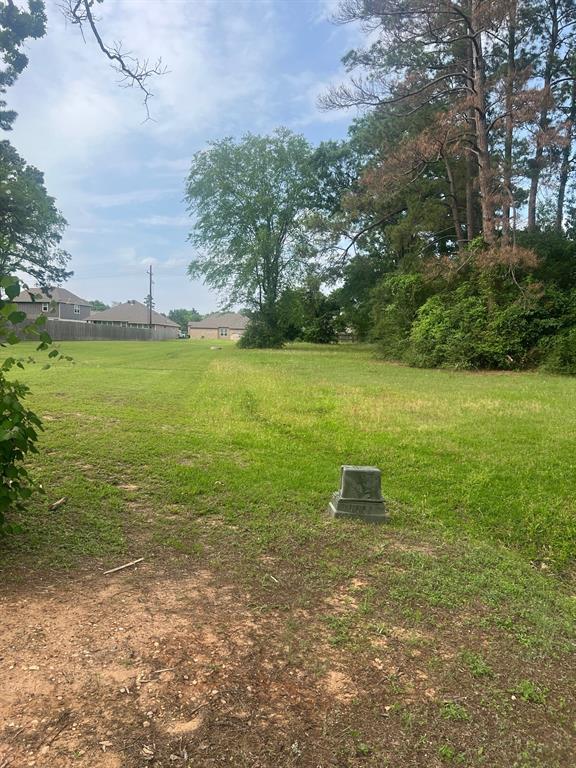 12995 Point Aquarius Boulevard, Willis, Texas image 40