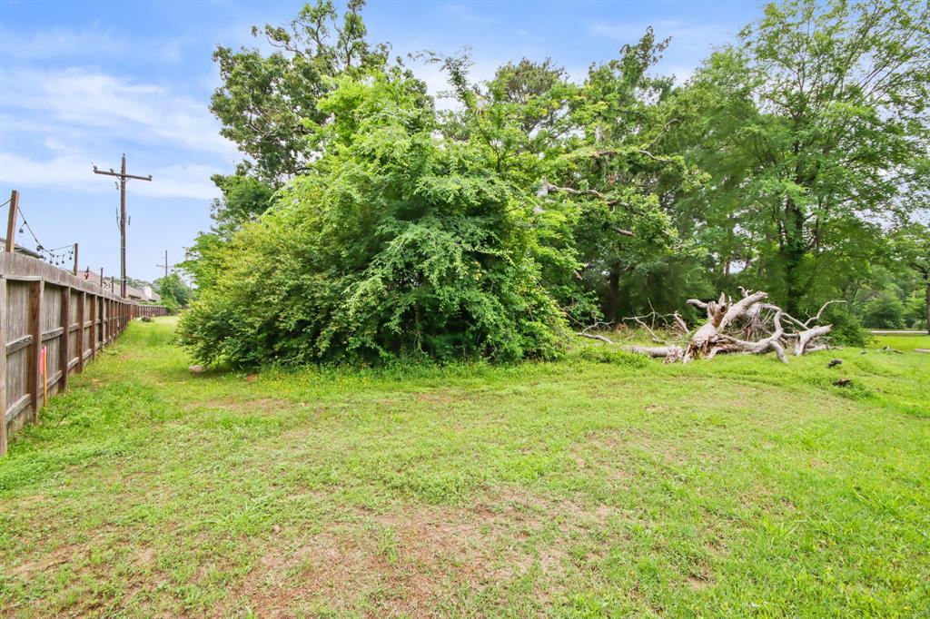 12995 Point Aquarius Boulevard, Willis, Texas image 18
