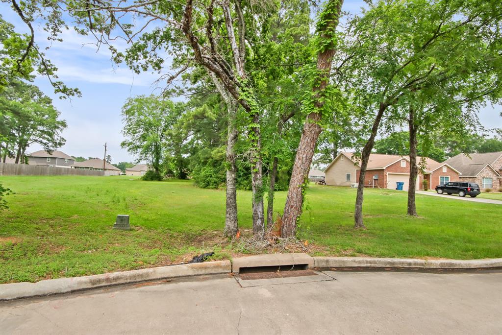12995 Point Aquarius Boulevard, Willis, Texas image 12