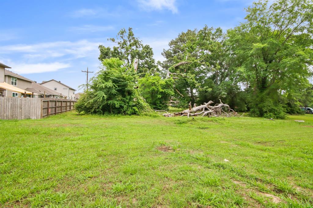 12995 Point Aquarius Boulevard, Willis, Texas image 15