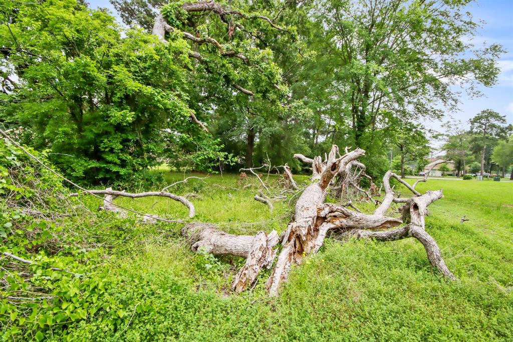 12995 Point Aquarius Boulevard, Willis, Texas image 19
