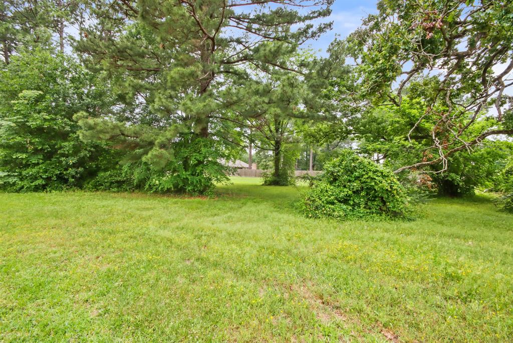 12995 Point Aquarius Boulevard, Willis, Texas image 27