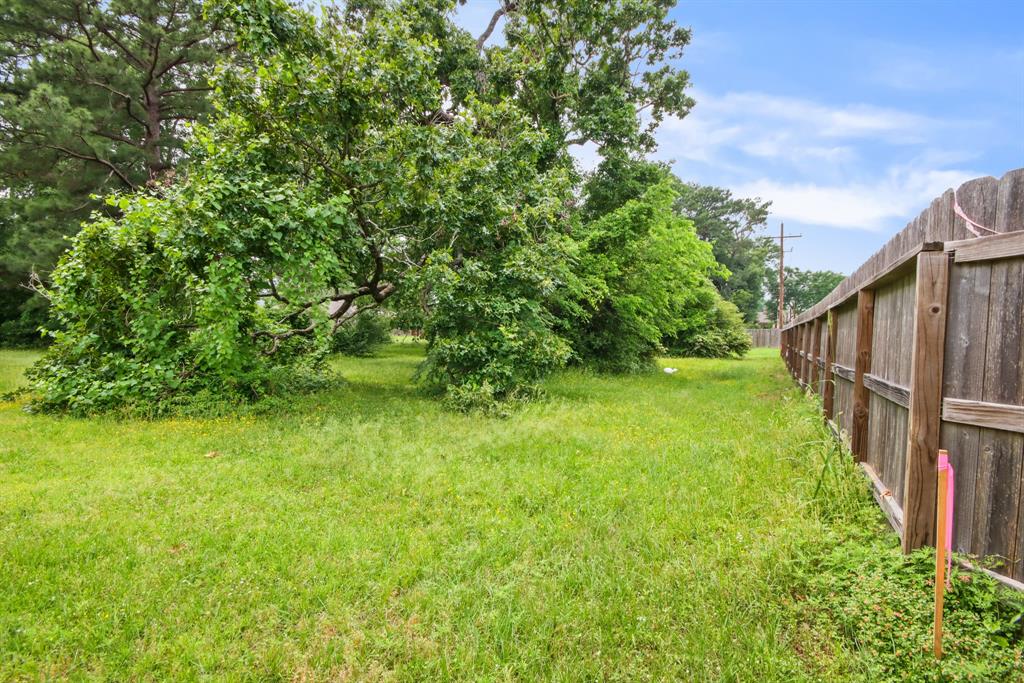 12995 Point Aquarius Boulevard, Willis, Texas image 22