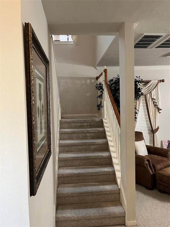 3035 Aspen Hollow Lane, Sugar Land, Texas image 14