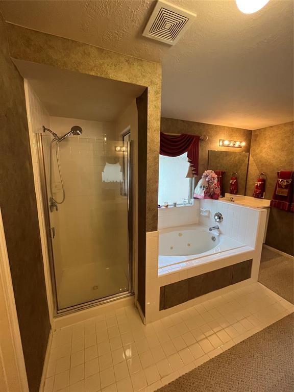 3035 Aspen Hollow Lane, Sugar Land, Texas image 20