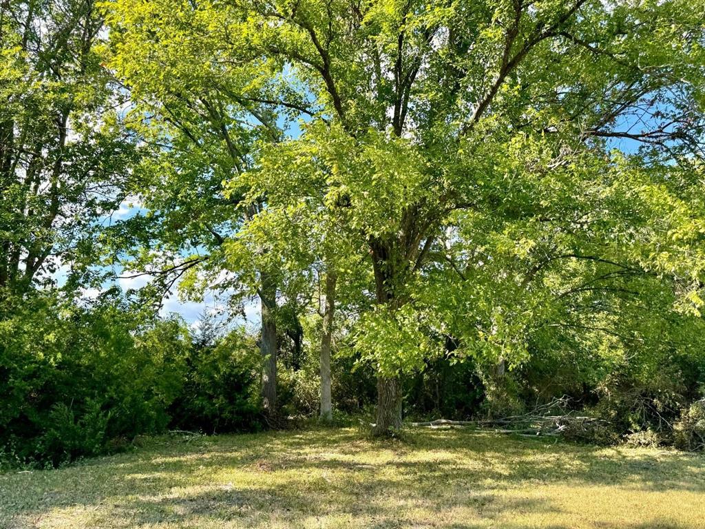 4975 Old Independence 3 Acres Lot Road, Brenham, Texas image 17