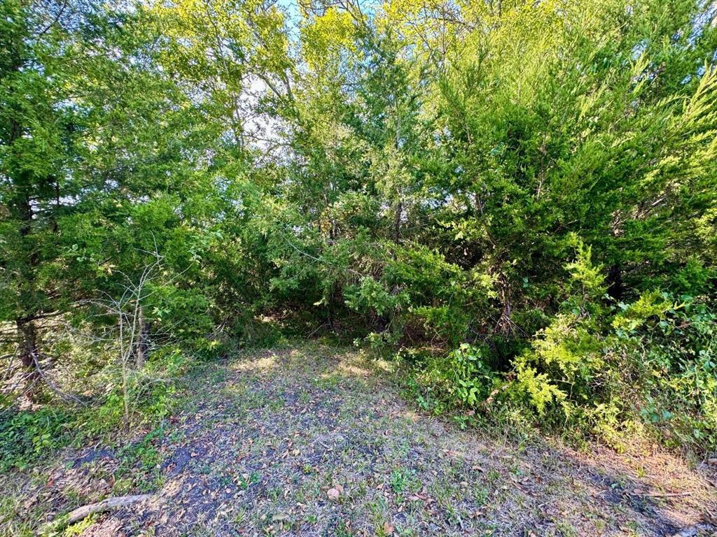 4975 Old Independence 3 Acres Lot Road, Brenham, Texas image 14