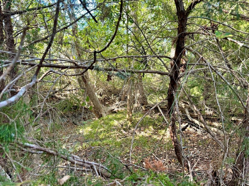 4975 Old Independence 3 Acres Lot Road, Brenham, Texas image 16