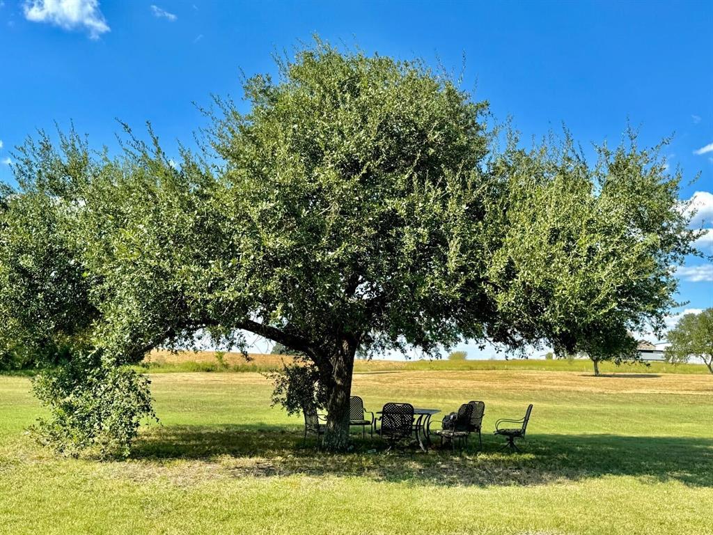 4975 Old Independence 3 Acres Lot Road, Brenham, Texas image 9