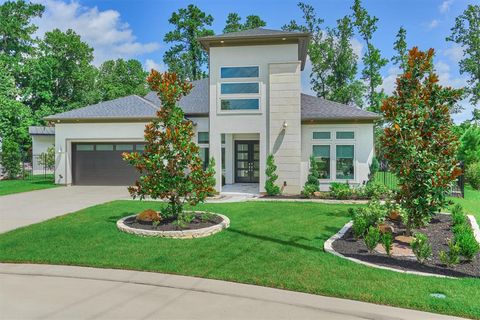 Single Family Residence in The Woodlands TX 35 Papado Trails Circle.jpg