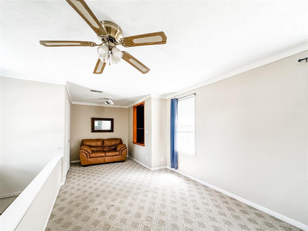 223 W Waverly Avenue, Eagle Lake, Texas image 11