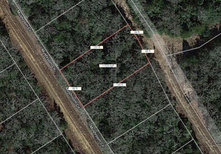 Lot 24 Mushroom Circle, Normangee, Texas image 2