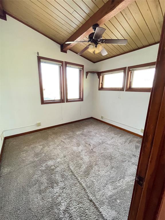 2919 County Road 510, Brazoria, Texas image 13