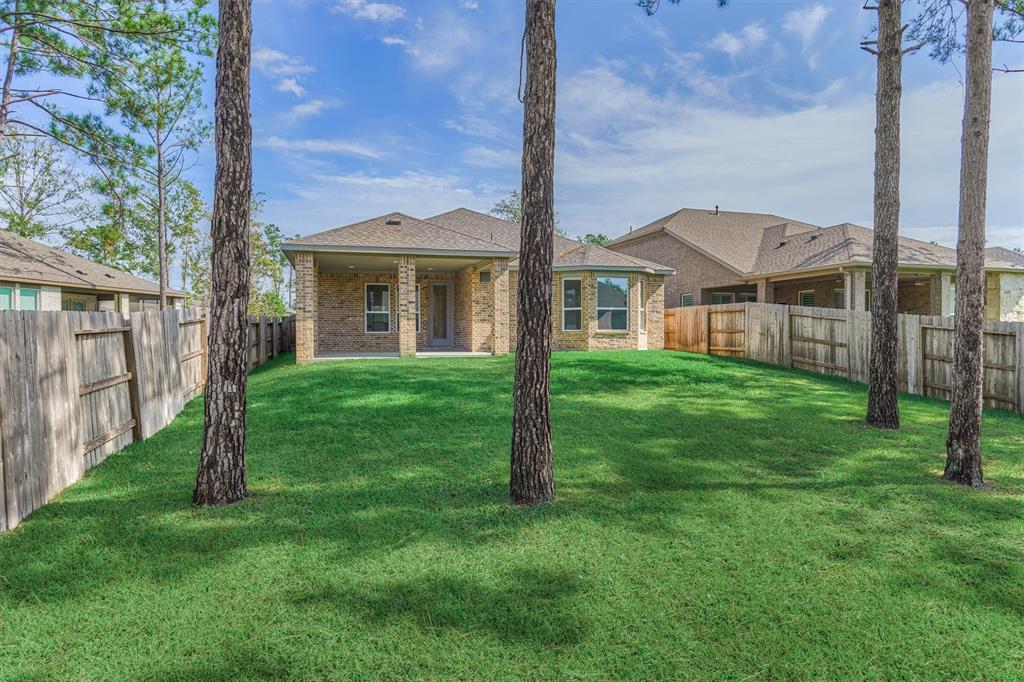 241 W Stargazer Lily Bend, Montgomery, Texas image 42