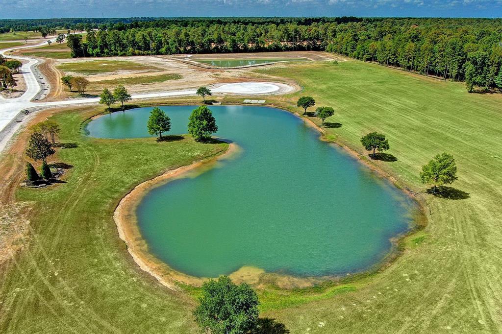 2017 Stallion Lakes Avenue, Hockley, Texas image 11