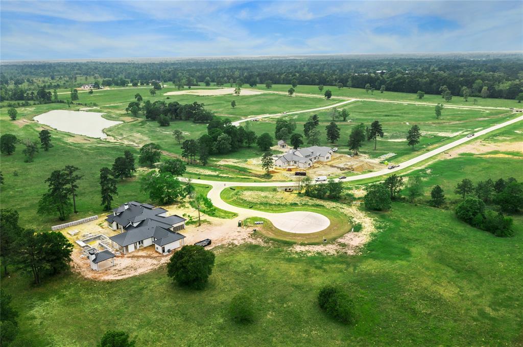 2017 Stallion Lakes Avenue, Hockley, Texas image 16