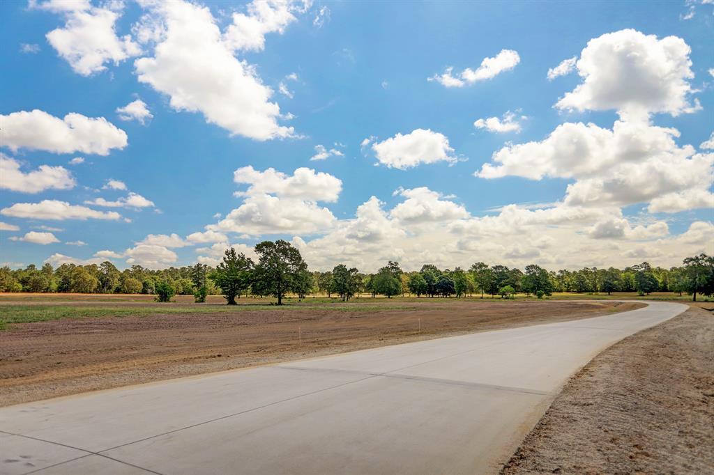 2017 Stallion Lakes Avenue, Hockley, Texas image 9