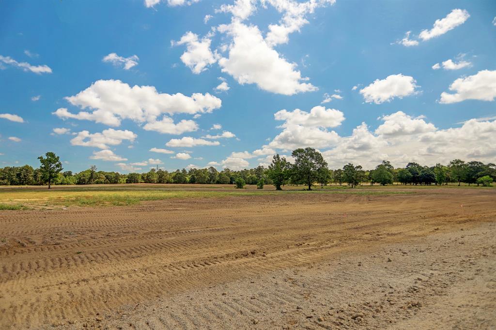 2017 Stallion Lakes Avenue, Hockley, Texas image 6