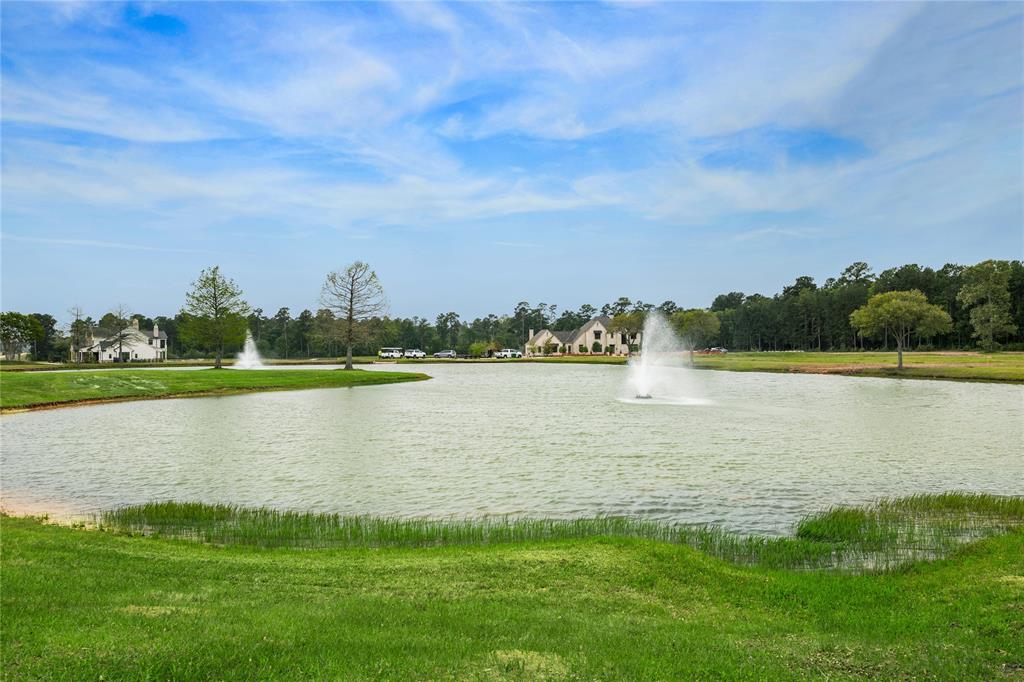 2017 Stallion Lakes Avenue, Hockley, Texas image 19
