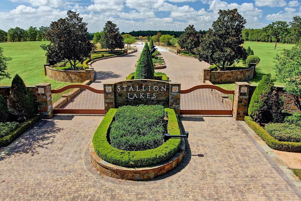 2017 Stallion Lakes Avenue, Hockley, Texas image 1