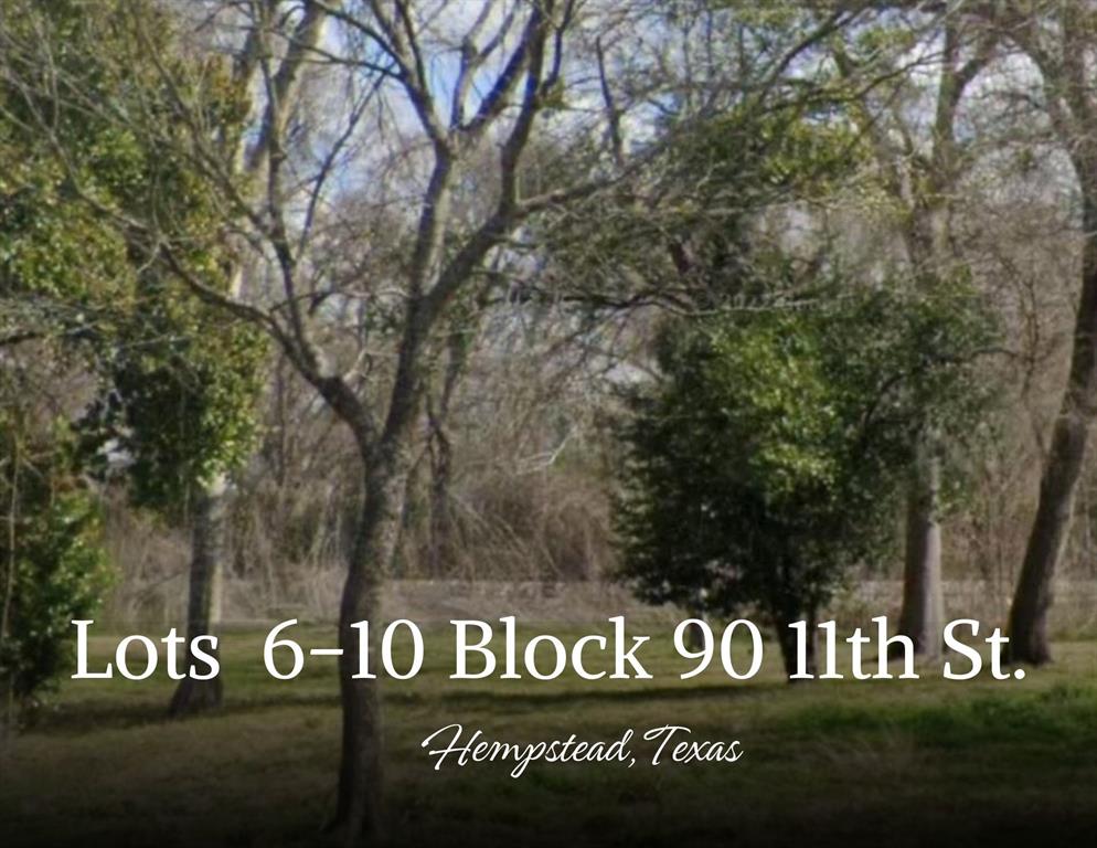 Lots 678910 Block 90 Located On 11th Street, Hempstead, Texas image 1