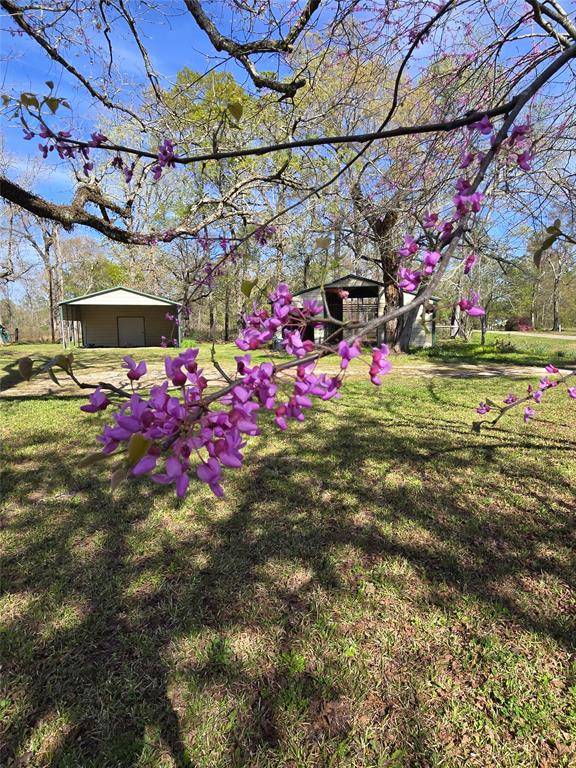 1083 County Road 3141, Cleveland, Texas image 31