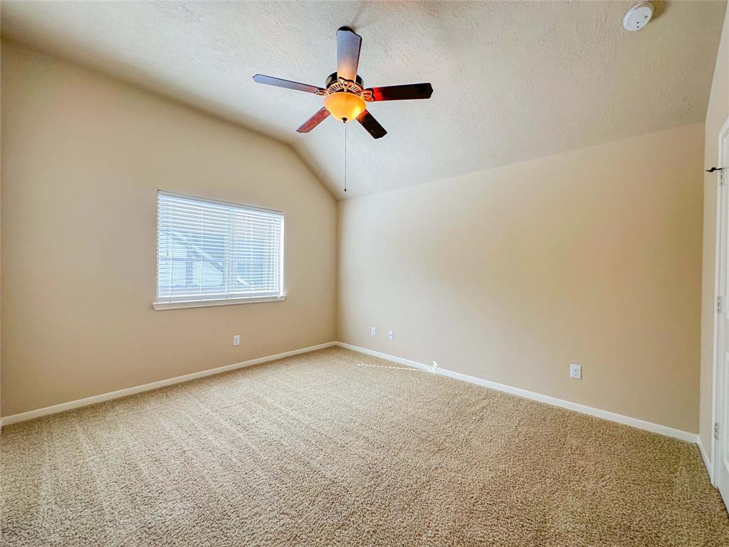 135 E Canyon Wren Circle, Spring, Texas image 44