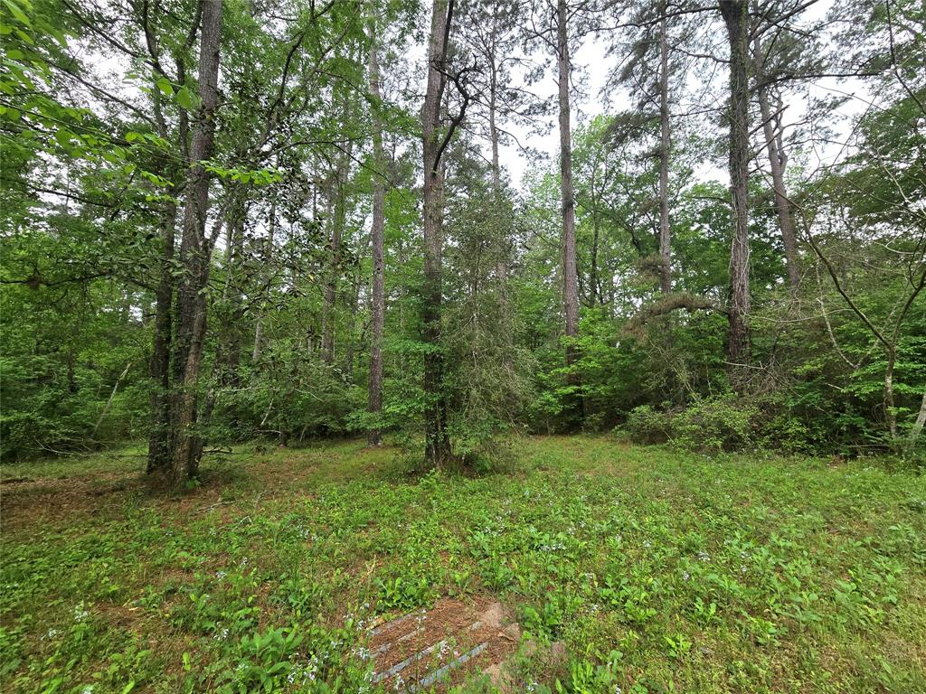 Turner Road, Cleveland, Texas image 7