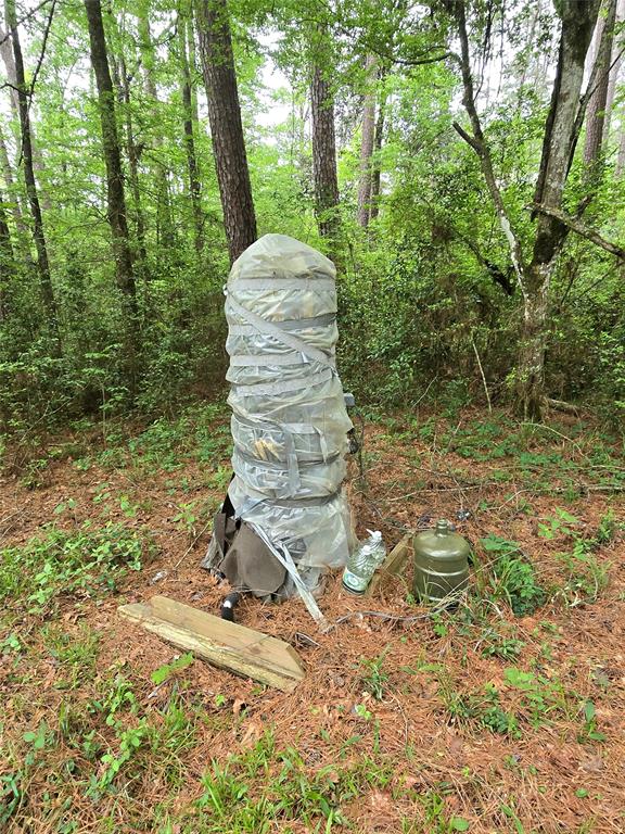 Turner Road, Cleveland, Texas image 11