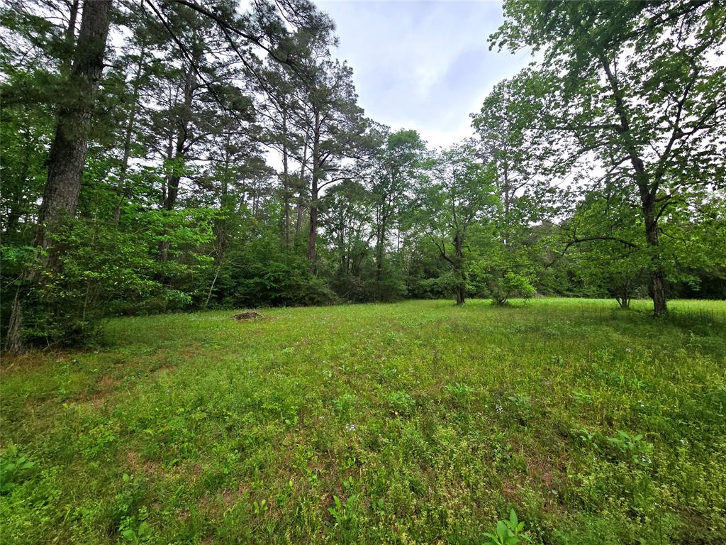 Turner Road, Cleveland, Texas image 6