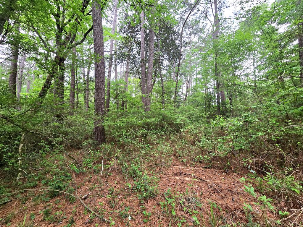 Turner Road, Cleveland, Texas image 10
