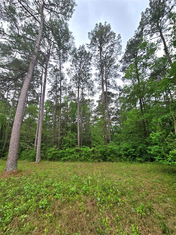 Turner Road, Cleveland, Texas image 8