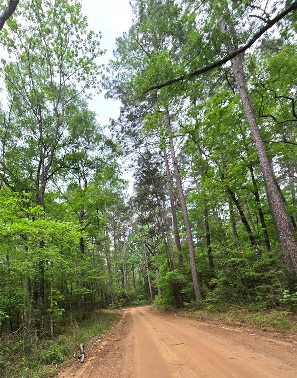 Turner Road, Cleveland, Texas image 2