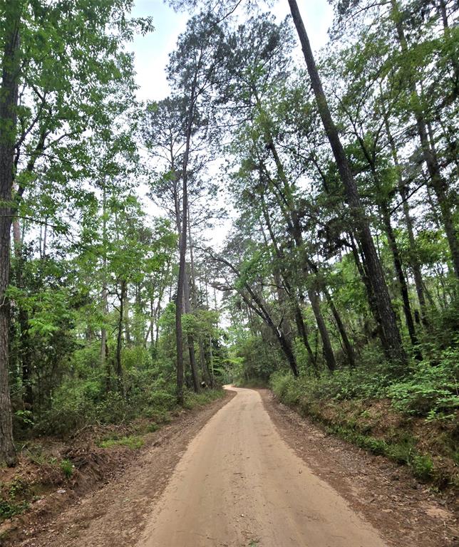 Turner Road, Cleveland, Texas image 1
