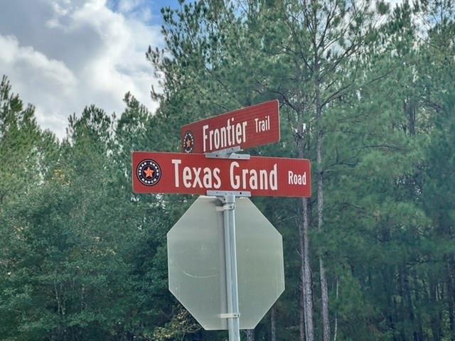 000 Texas Grand Road, Huntsville, Texas image 1