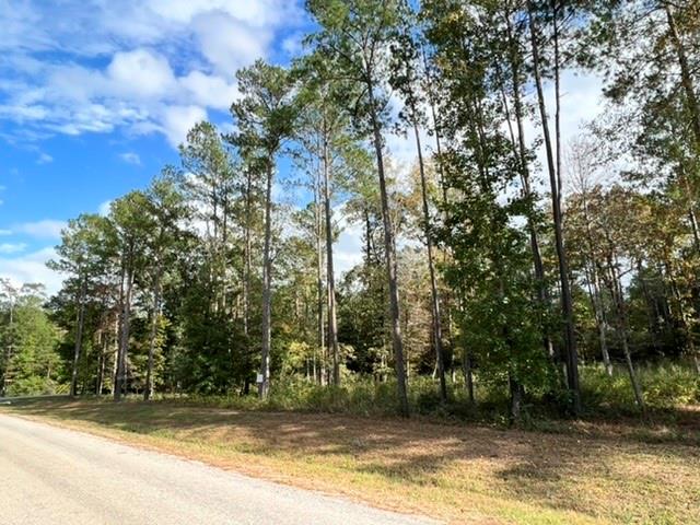 000 Texas Grand Road, Huntsville, Texas image 6