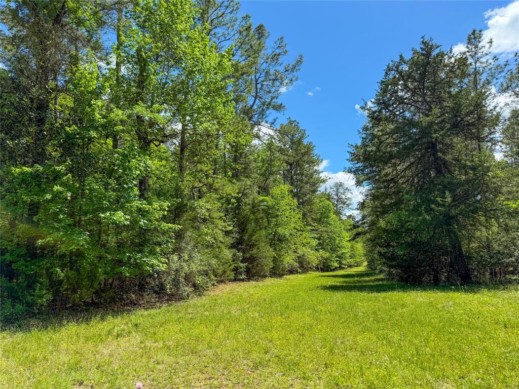 TBD County Road 4259, Woodville, Texas image 1