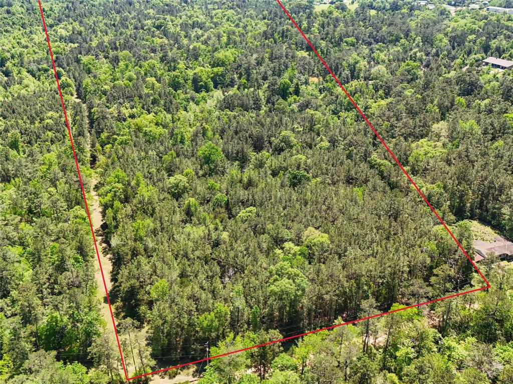 TBD County Road 4259, Woodville, Texas image 2