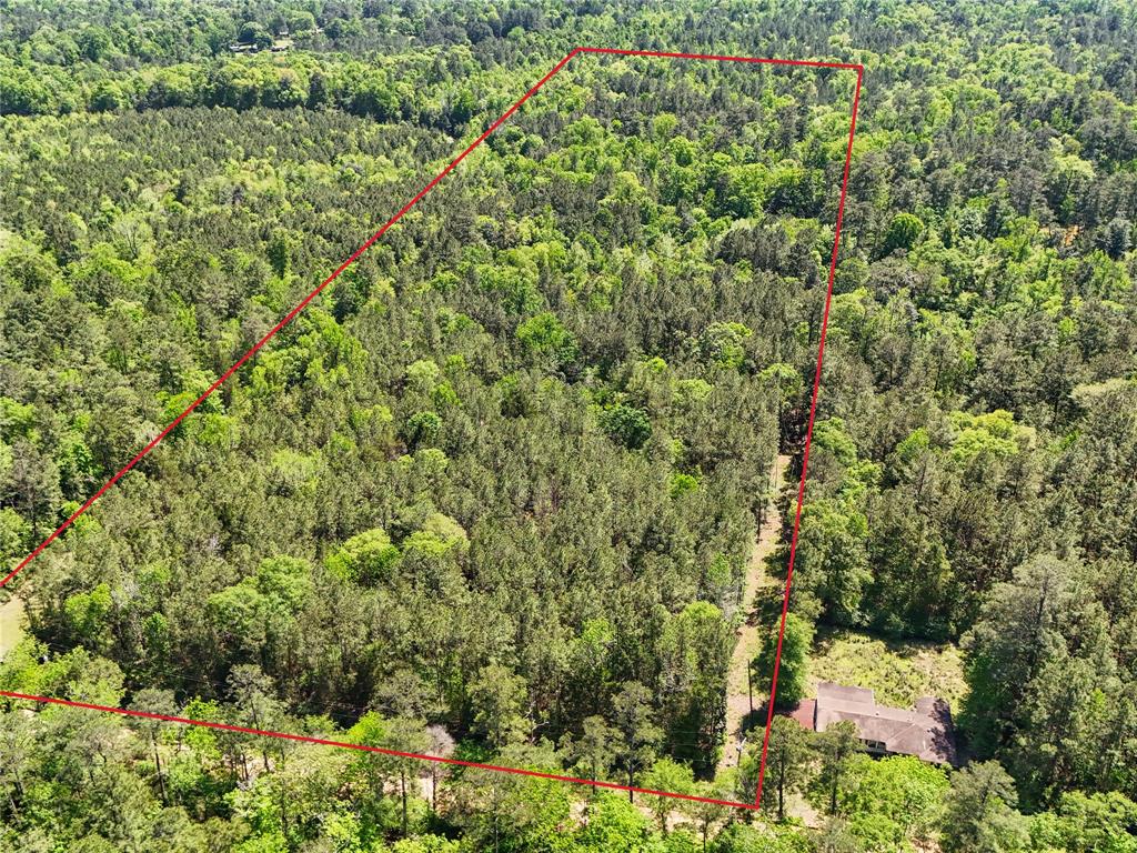 TBD County Road 4259, Woodville, Texas image 32