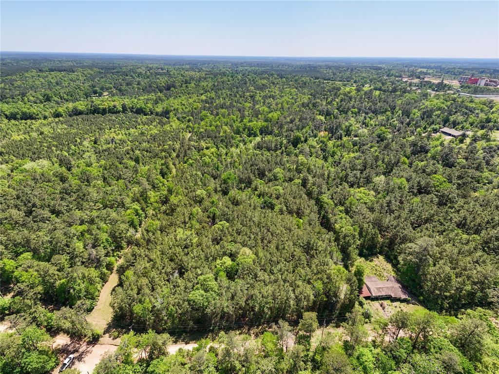 TBD County Road 4259, Woodville, Texas image 7
