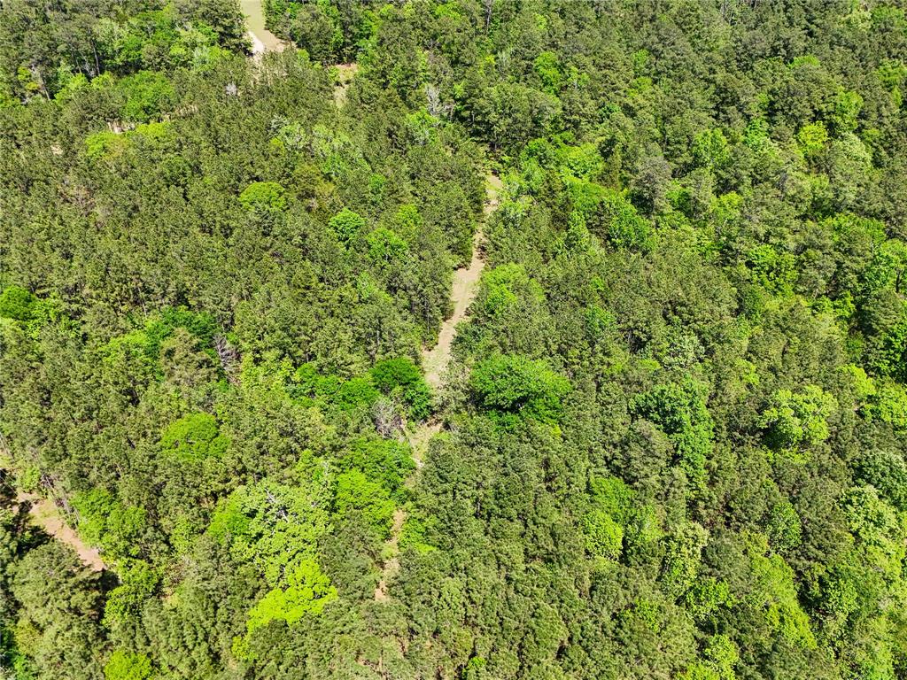 TBD County Road 4259, Woodville, Texas image 33